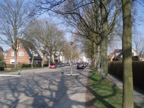 Geelhandlaan