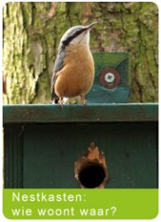 blok_het_grote_vogelweekend_nestkasten