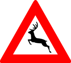 A 27 - Groot wild