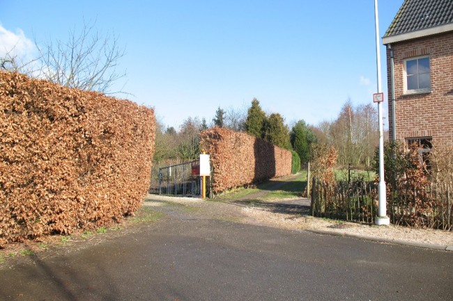 Hoek Diepestraat, Veldkantvoetweg, Lijsterbesstraat