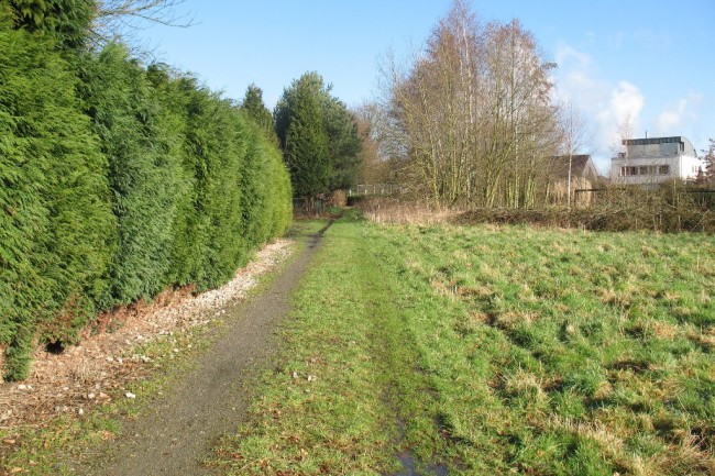 Lijsterbesstraat