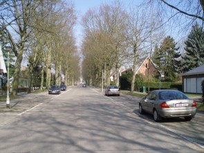 10 zieke bomen zullen sneuvelen in de Geelhandlaan