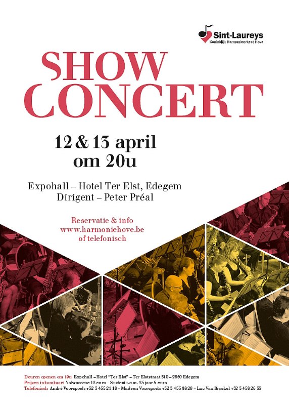 Affiche-Showconcert-2013