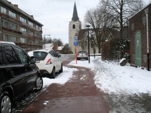Geelhandlaan