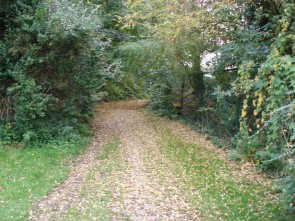 Trage weg Regina Pagis 2