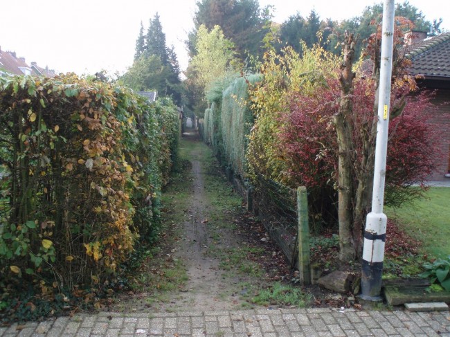 Tussen Begonialei en Azalealei ligt veel slijk na regenweer