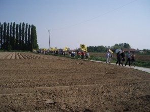 Peene 6