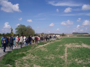 wandelaars