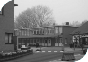 rp1b
