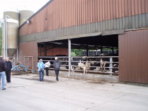 stalgebouw