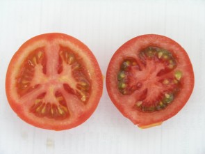 tomaten