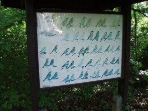 verbleking bord