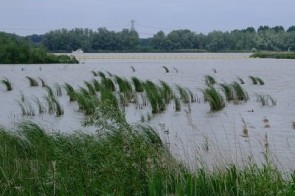 DAGUITSTAP de BIESBOSCH 2