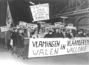 Wallingant of anti–Vlaams