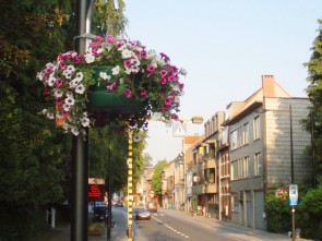 Hangpot met bloemen