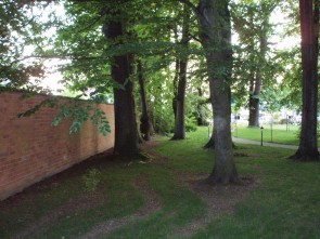 bomen 't Of in Hove