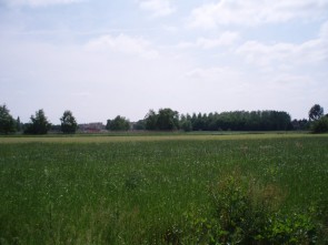 centrale grasvlakte