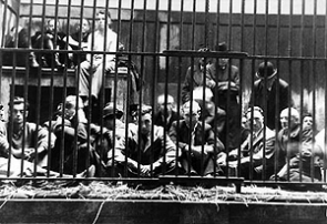 De Antwerpse dierentuin tijdens de repressie