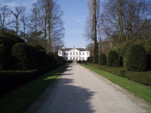 Rattennest 01