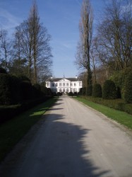 Rattennest 02