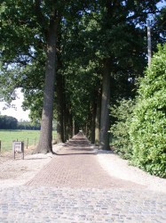 Boshoekstraat 109 dreef