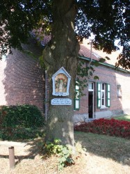 in de Boshoek