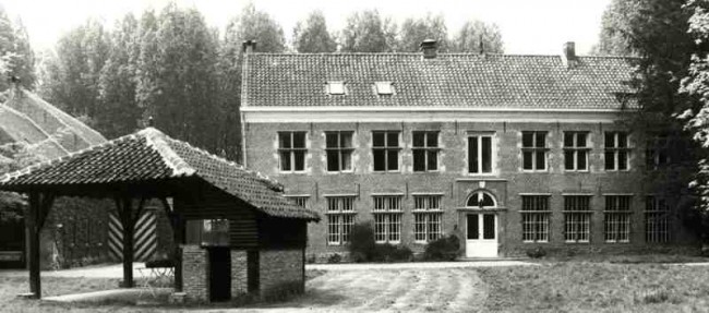 Lauwhoeve 1985