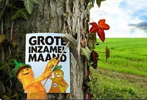 breng-je-frituurolie-of-vet-naar-het-recyclagepark