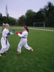 karate 2