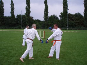 karate 3