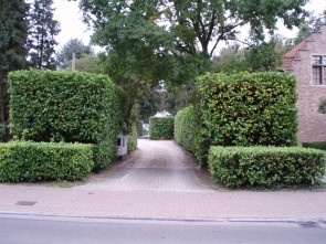 Wouwstraat 120 ingang