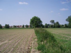 beekvallei 3