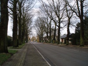 Geelhandlaan november 2013