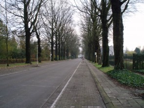 Geelhandlaan november 2013