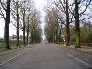 Geelhandlaan november 2013