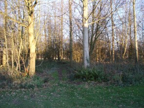 Frijthout-ingang