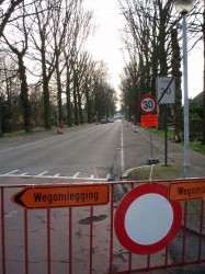 Bomenkap Geelhandlaan