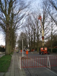 Bomenkap Geelhandlaan