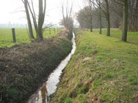 Edegemse beek