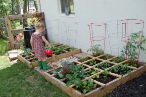 Moestuin[1]