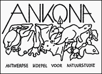 ankona