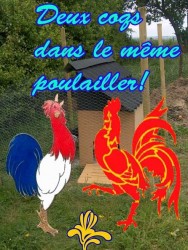 wallonie-france2