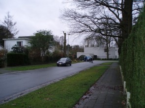 Gerooide bomen
