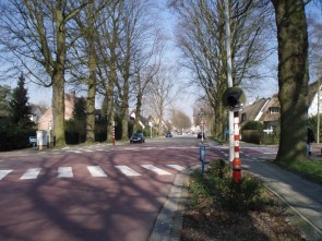 Geelhandlaan