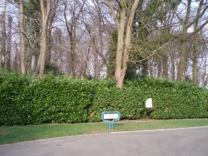 De Ster verkaveling
