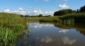 dekleinenete_natuurpunt_lampiris_5