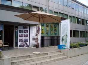 Groen-links verzamelde in Hove