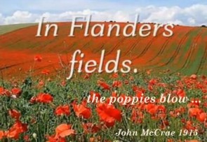 flanders fieds WO1