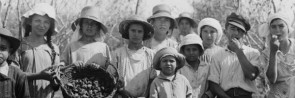 Foto : kinderen verzamelen amandelen op de Joodse landbouwsite in 1936 in Richon le Zion, een kibboets en een van de eerste settlements van zionistische Joden, gesticht in 1882.