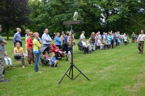 vogelshow
